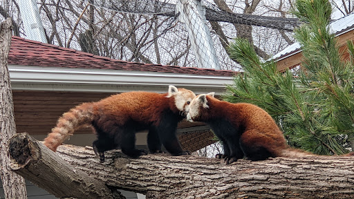 Zoo «Seneca Park Zoo», reviews and photos, 2222 St. Paul Street, Rochester, NY 14621, USA