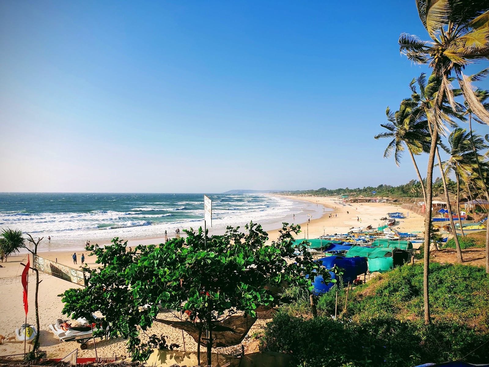 Candolim Beach photo #9