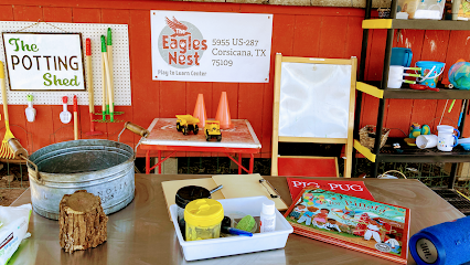 The Eagle's Nest Play to Learn Center