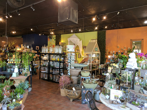 Gift Shop «Wild Flowers», reviews and photos, 1201 Madison St, Denver, CO 80206, USA