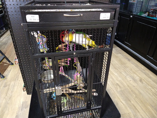 Pet Store «Petland», reviews and photos, 1514 Stonecreek Dr, Pickerington, OH 43147, USA