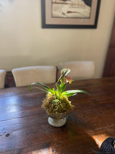 Flower Casita image