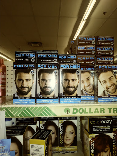 Dollar Store «Dollar Tree», reviews and photos, 257 Market Pl Blvd, Cartersville, GA 30121, USA