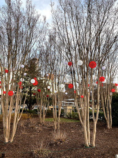 Amusement Park Ride «SkyView Atlanta», reviews and photos, 168 Luckie St NW, Atlanta, GA 30303, USA