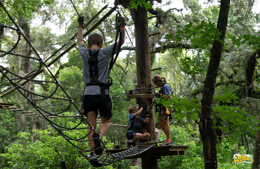 Theme Park «TreeHoppers Aerial Adventure Park», reviews and photos, 27839 St Joe Rd, Dade City, FL 33525, USA