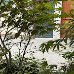 Photo n°5 de l'avis de Antonello.a fait le 25/05/2022 à 18:29 sur le  Ristorante Antica Besseta à Venice