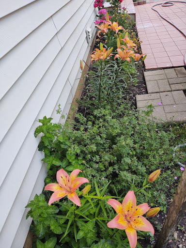 Home Improvement Store «The Home Depot», reviews and photos, 4447 US-14, Crystal Lake, IL 60014, USA