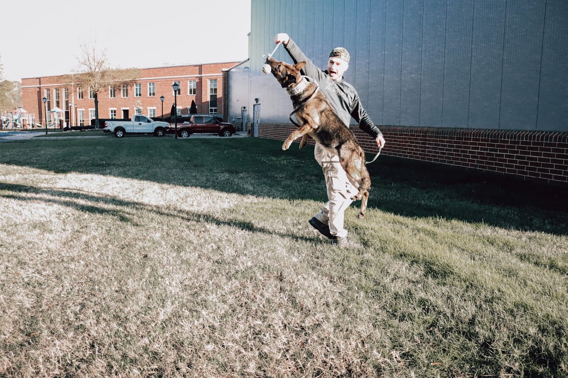 Cams K9 Training