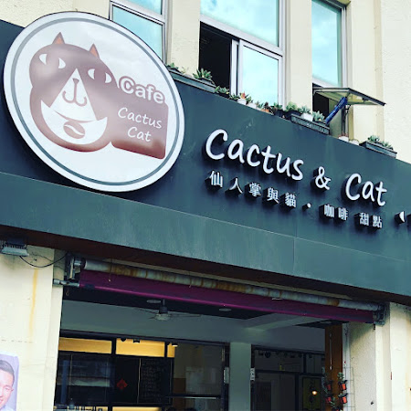Cactus&Cat Cafe 仙人掌與貓咖啡