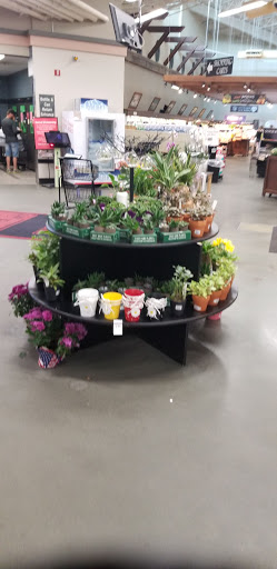 Grocery Store «D & W Fresh Market», reviews and photos, 50 Douglas Ave, Holland, MI 49424, USA