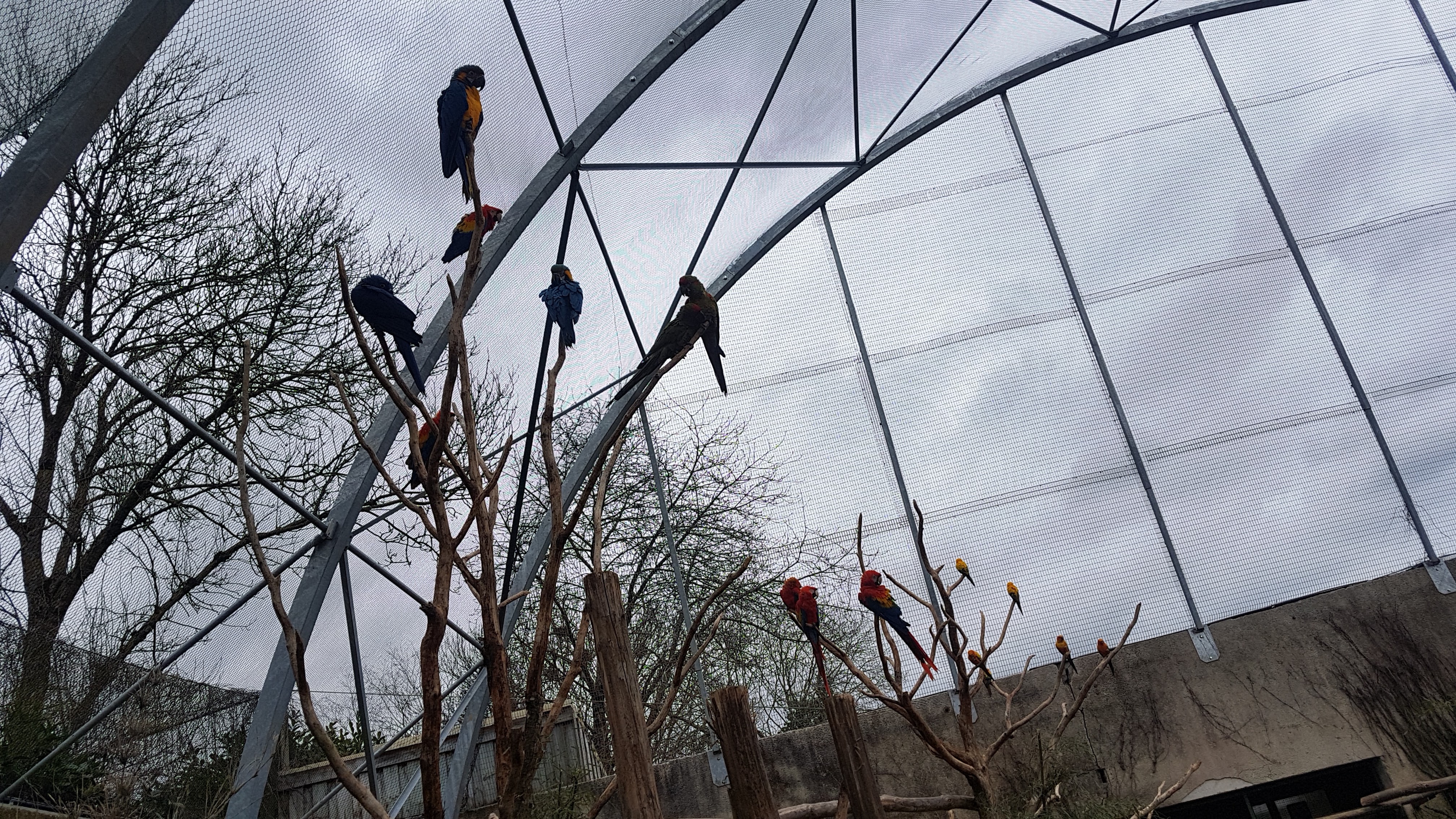 Photo n° 5 de l'avis de PA.A fait le 09/03/2019 à 12:19