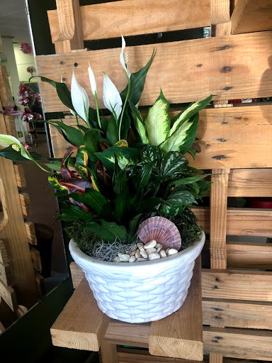 Florist «F & S FLOWERS DESIGN LLC», reviews and photos, 1799 N State Rd 7, Margate, FL 33063, USA