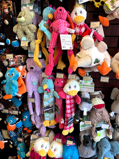 Pet Store «Pet Valu», reviews and photos, 1061 W Main St #12, Branford, CT 06405, USA