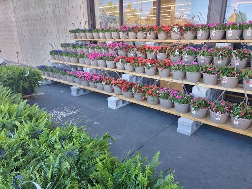 Discount Store «Roses», reviews and photos, 1410 Sparta St #4, McMinnville, TN 37110, USA