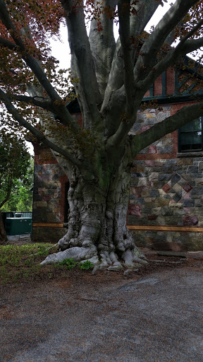 History Museum «Eustis Estate Museum and Study Center», reviews and photos, 1424 Canton Ave, Milton, MA 02186, USA