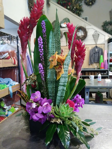 Florist «Alamo Plants & Petals», reviews and photos, 119 W Sunset Rd, San Antonio, TX 78209, USA