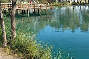 Liberty Pond And Dog Park image