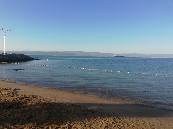 Darıca Plajı
