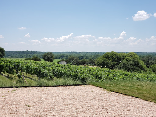 Winery «Valley Mills Vineyards», reviews and photos, 8532 Hwy 6, Waco, TX 76712, USA