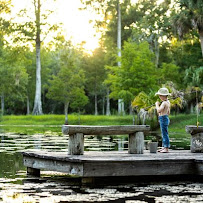 M&D Photography of Central Florida - Photo 6 - Car repair in , Leesburg
