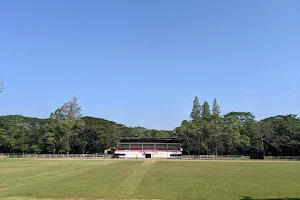 Anjuk Ladang Stadium Field image
