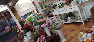 Sologne Flor à Lamotte-Beuvron