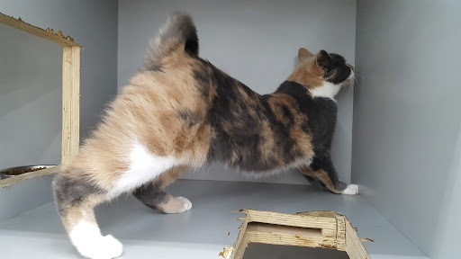 Pet Supply Store «Pet Supplies Plus», reviews and photos, 1433 E Main St, Owosso, MI 48867, USA