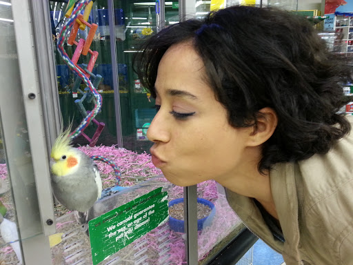 Pet Supply Store «Pet Supplies Plus», reviews and photos, 646 Long Hill Rd, Groton, CT 06340, USA