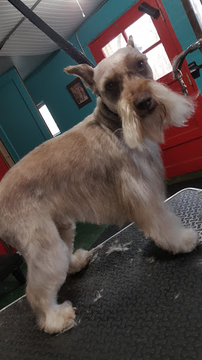 Pet Groomer «Precious Paws Pet Grooming», reviews and photos, 1807 Franklin St, Michigan City, IN 46360, USA