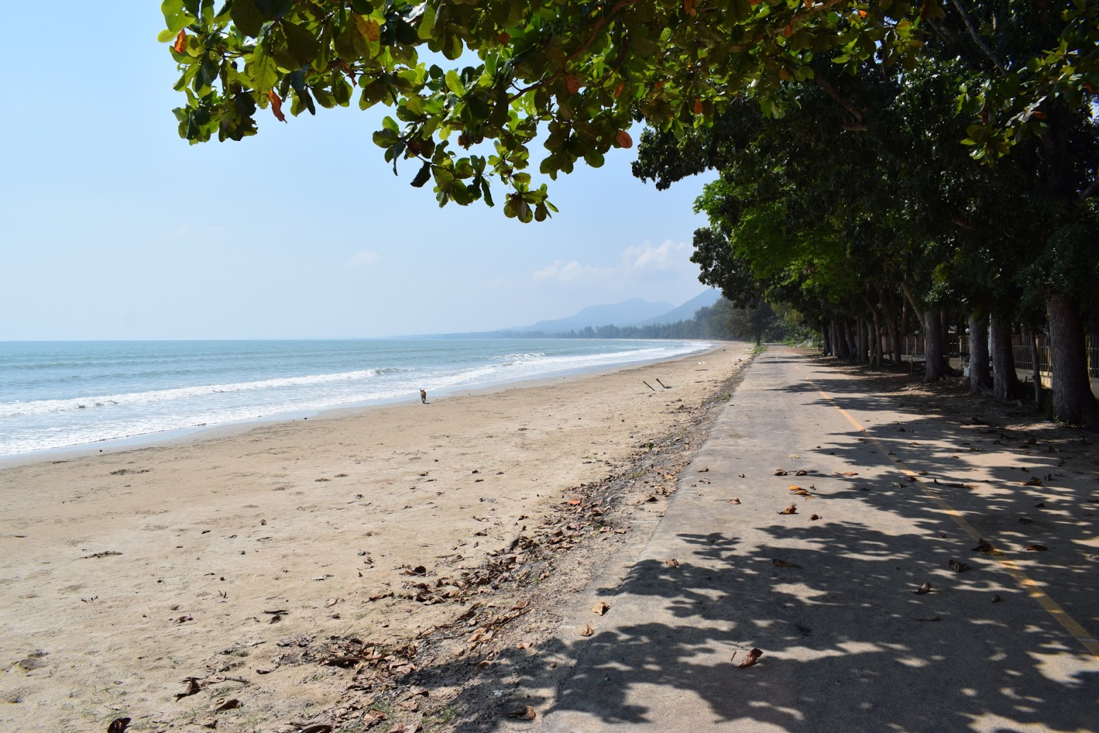Photo de Ao Bang Son Beach avec rivage droit, long