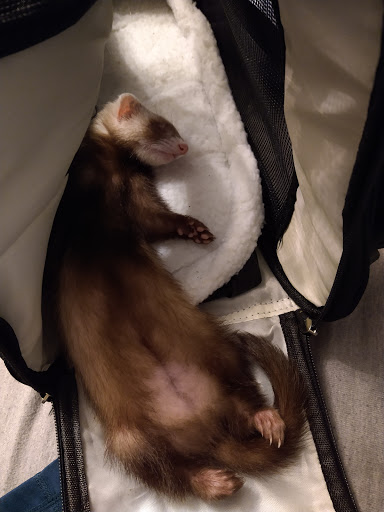 Pet Supply Store «Pet Partners», reviews and photos, 1962 W State St, Bristol, TN 37620, USA