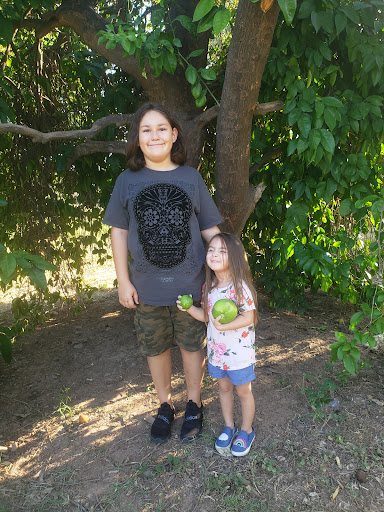 Park «Sahuaro Ranch Park», reviews and photos, 9802 N 59th Ave, Glendale, AZ 85302, USA