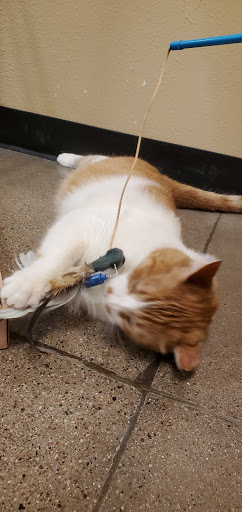 Pet Supply Store «PetSmart», reviews and photos, 16257 N Scottsdale Rd, Scottsdale, AZ 85254, USA