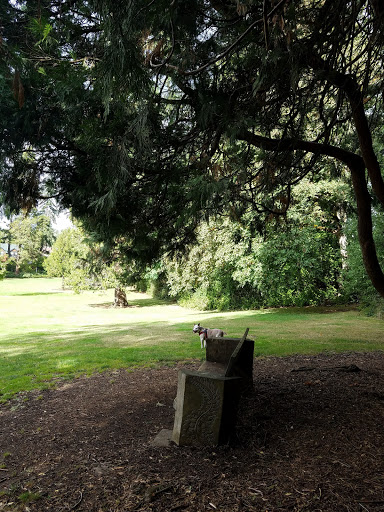 Park «Washburne Park», reviews and photos, E 21st Ave & Agate Street, Eugene, OR 97403, USA