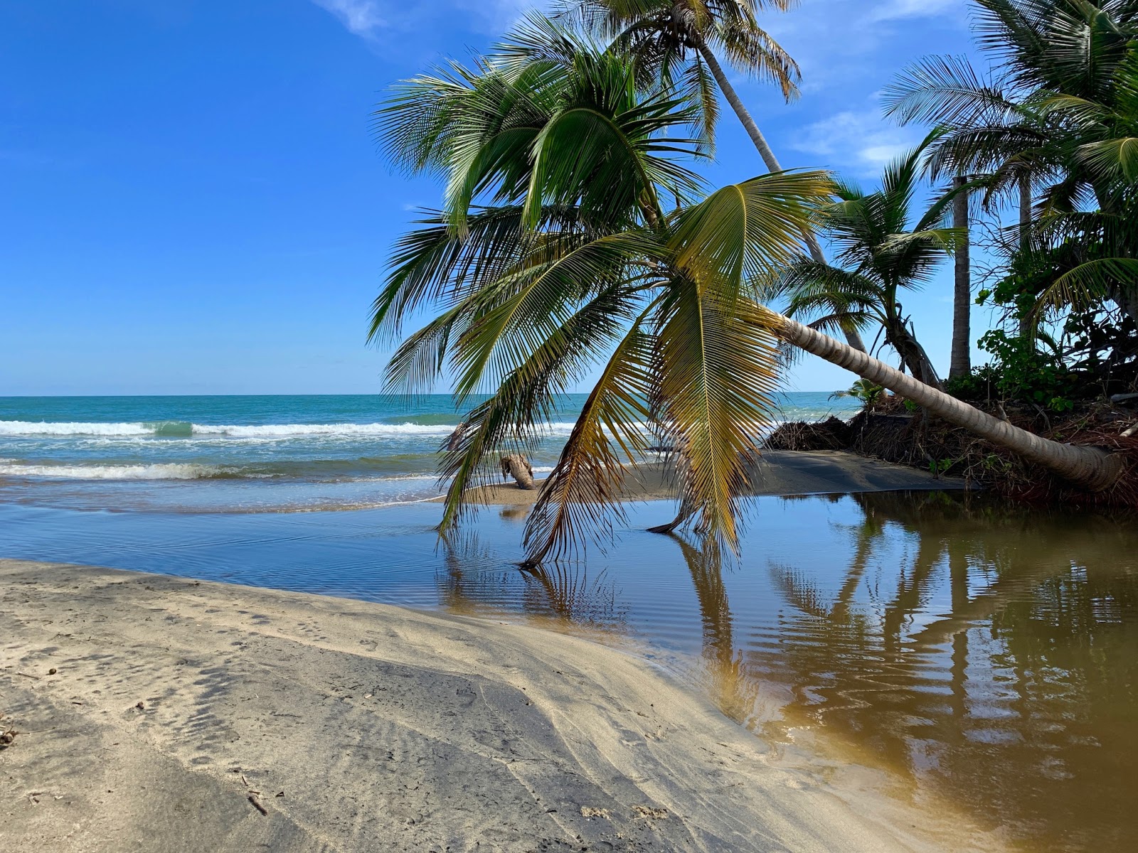Foto di Playa Los Bohios - luogo popolare tra gli intenditori del relax