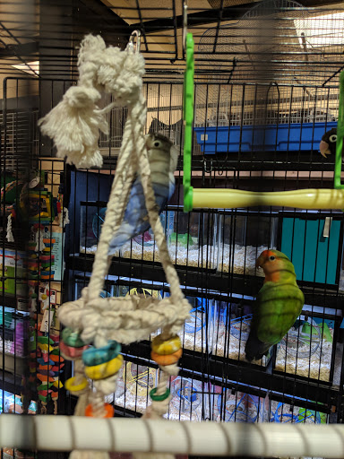 Pet Store «Pet Advantage», reviews and photos, 350 Dorset St # 1, South Burlington, VT 05403, USA