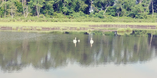 State Park «Colt State Park», reviews and photos, Route 114, Bristol, RI 02809, USA