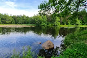 Aleksandriyskiy Park image