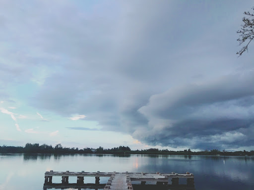 Coffee Shop «Starbucks», reviews and photos, 3604 84th Ave Cir E, Sarasota, FL 34243, USA