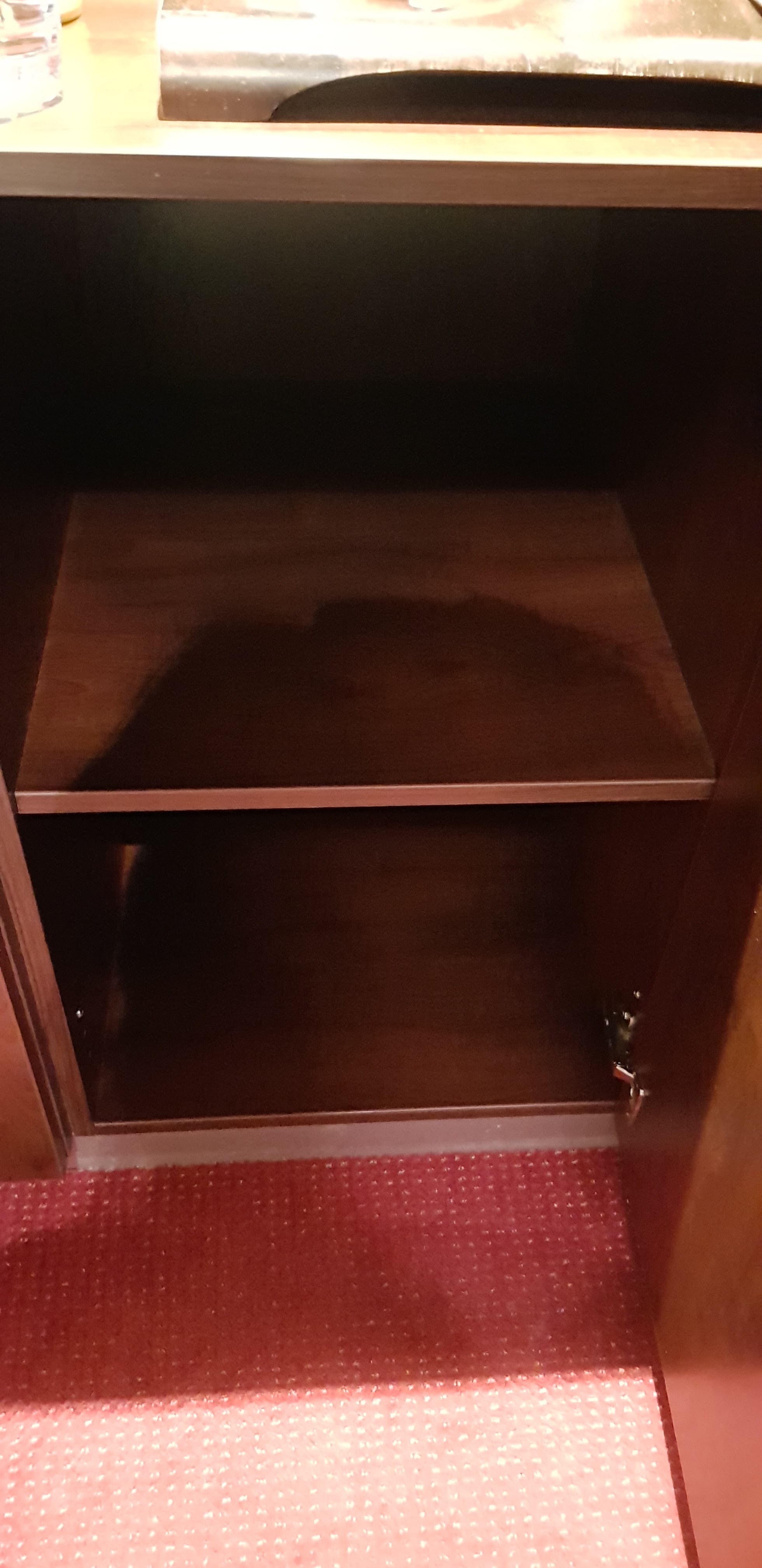 Photo n° 10 de l'avis de dragon. fait le 03/04/2019 à 19:47