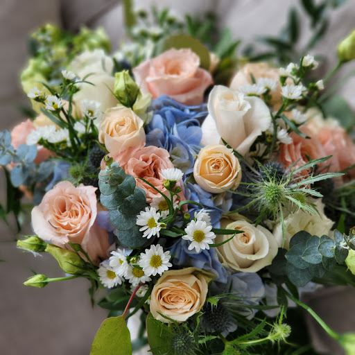 Dried Flower Shop «Creative Flower And Gift Shop», reviews and photos, 84-48 Eliot Ave, Middle Village, NY 11379, USA