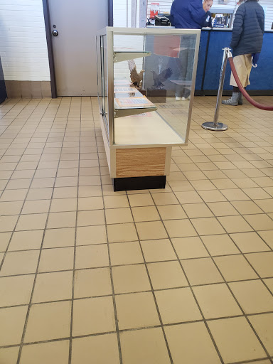 Post Office «United States Postal Service», reviews and photos, 135 Chestnut St, New Britain, CT 06050, USA