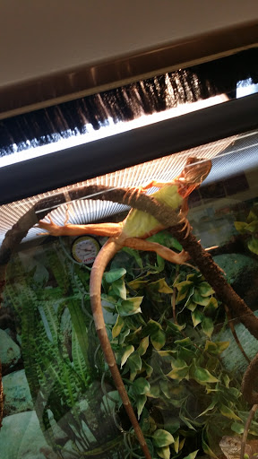 Pet Supply Store «Petco Animal Supplies», reviews and photos, 2955 Cobb Pkwy SE #410, Atlanta, GA 30339, USA