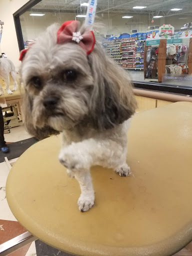 Pet Supply Store «PetSmart», reviews and photos, 1300 John F Kennedy Rd, Dubuque, IA 52002, USA