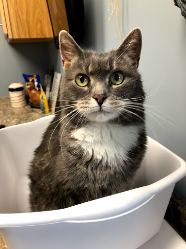 5114 Shaffer Rd, DuBois, PA 15801, USA