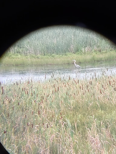 National Reserve «Montezuma National Wildlife Refuge», reviews and photos, 3395 US-20, Seneca Falls, NY 13148, USA