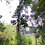 Photo n°10 de l'avis de francesca.i fait le 01/09/2022 à 15:50 sur le  Ristorante Il Fiaschetto1984 - Pizza Grill & Wine à Collepepe