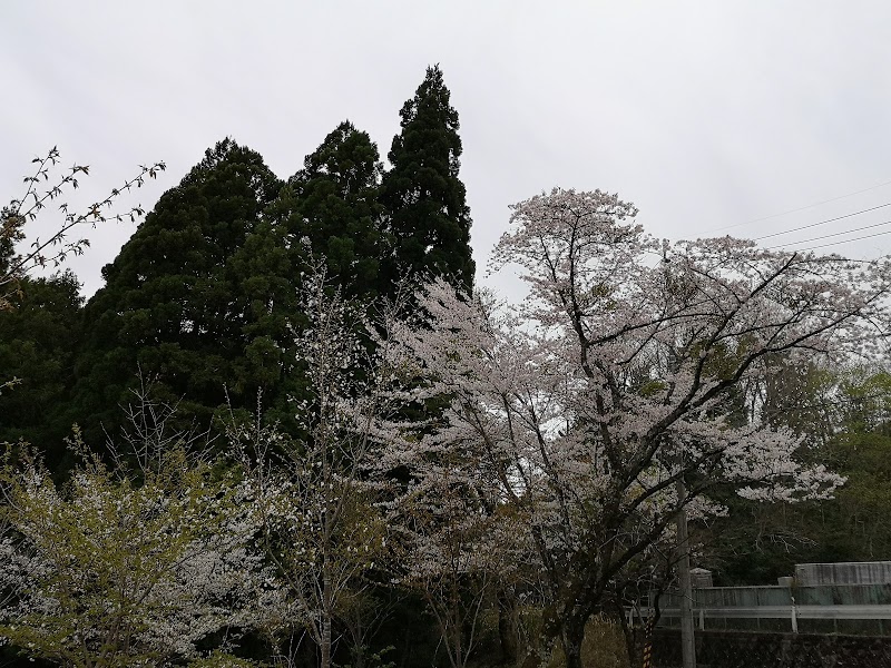 茨木市立桜の苑