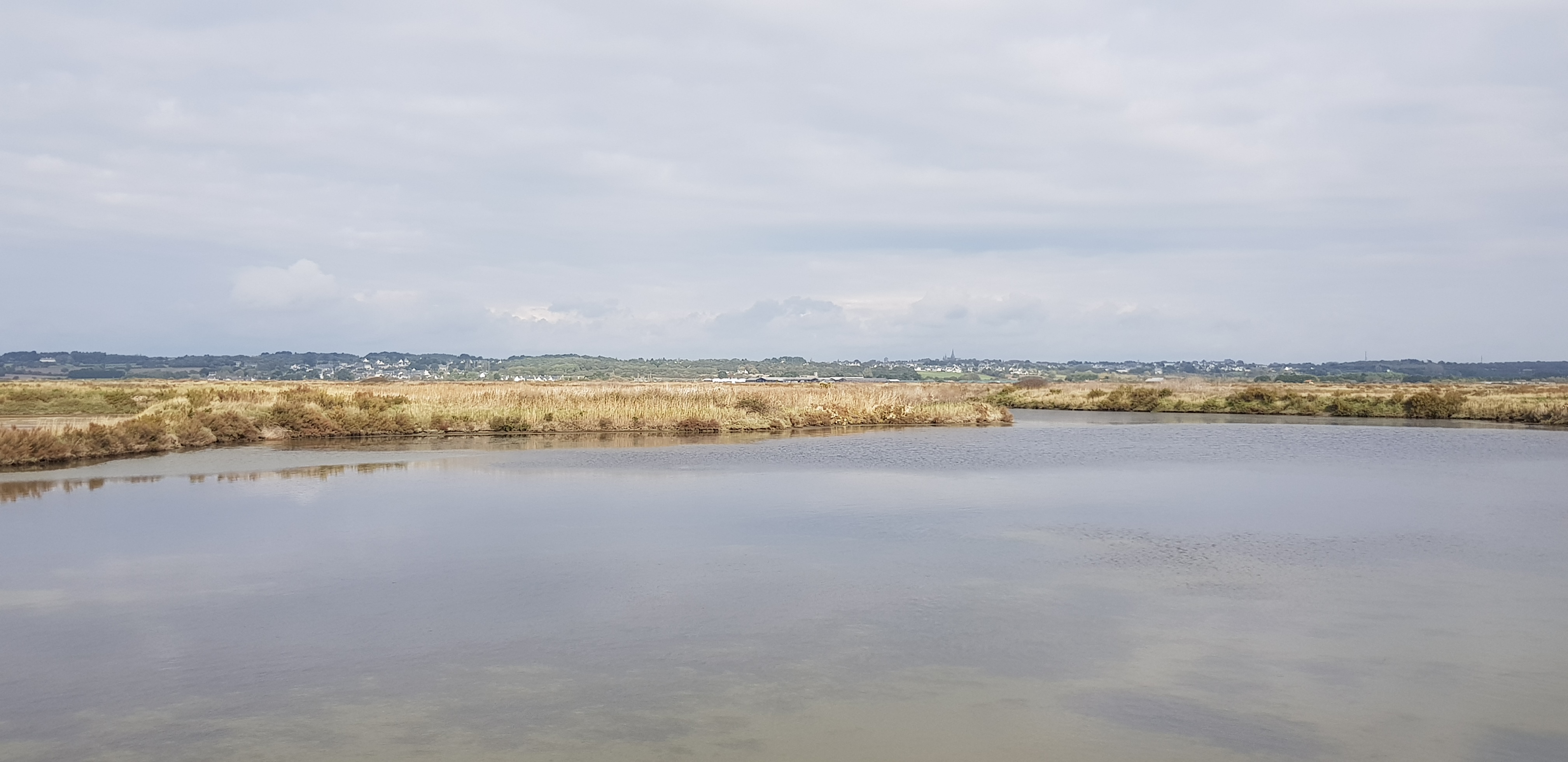Photo n° 10 de l'avis de dragon. fait le 29/11/2019 à 13:16