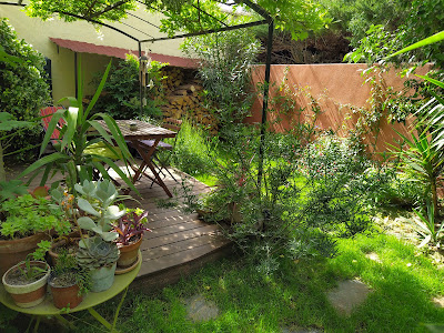 Achillea Paysage à Vauvert